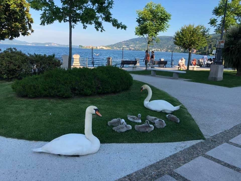Casa Delle Rose Apartment Verbania